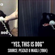 Image for article titled Let’s all stare into the void with this video guide to popular memes